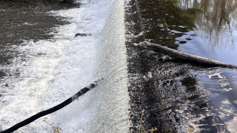 Sturbridge Mill Pond Trail - Sturbridge, MA