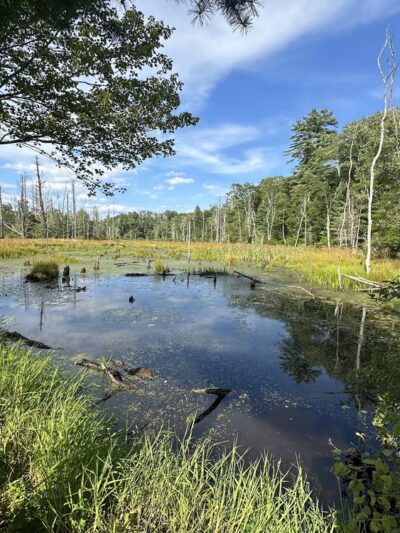 Wells State Park - Sturbridge, MA