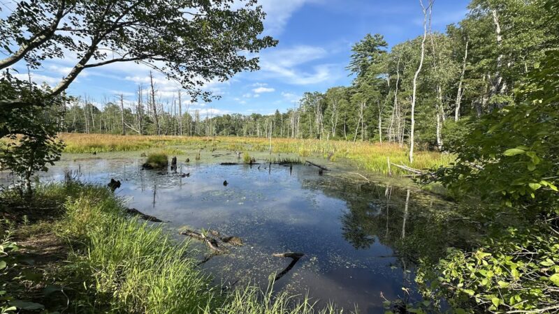 Wells State Park - Sturbridge, MA
