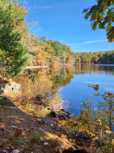 Wells State Park - Sturbridge, MA