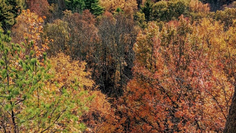 Wells State Park - Sturbridge, MA