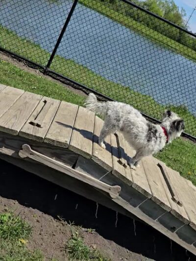 Sturtevant Dog Park - Sturtevant, WI