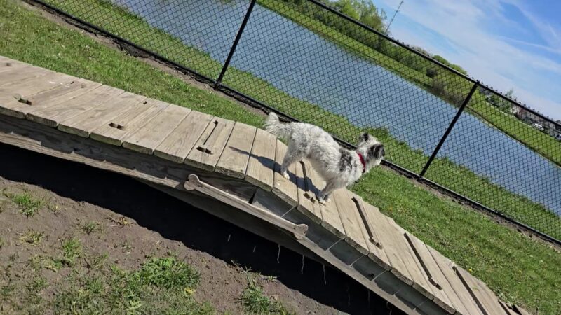 Sturtevant Dog Park - Sturtevant, WI