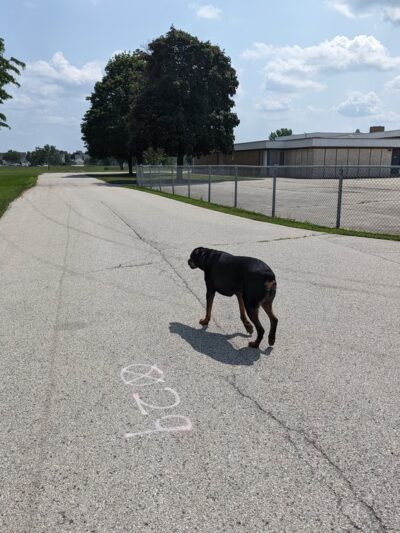 Sturtevant Dog Park - Sturtevant, WI