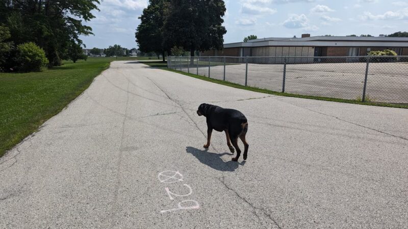 Sturtevant Dog Park - Sturtevant, WI