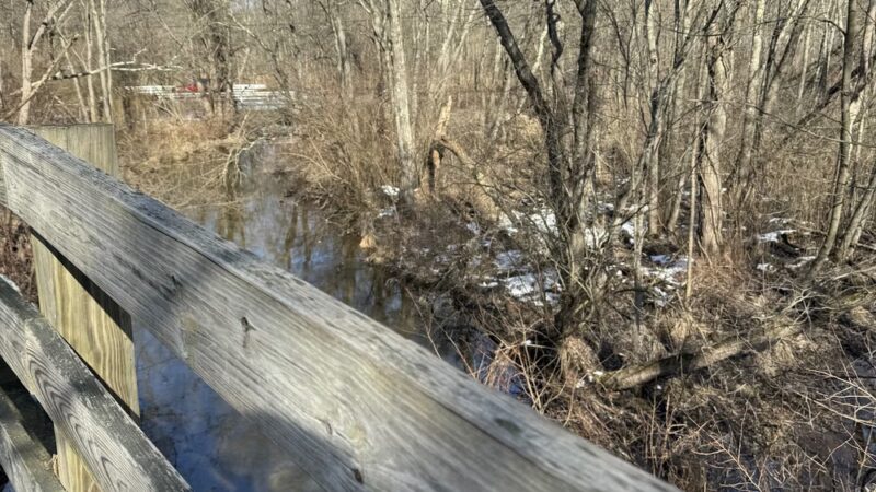 Lackwanna Rail Trail Head - Succasunna, NJ