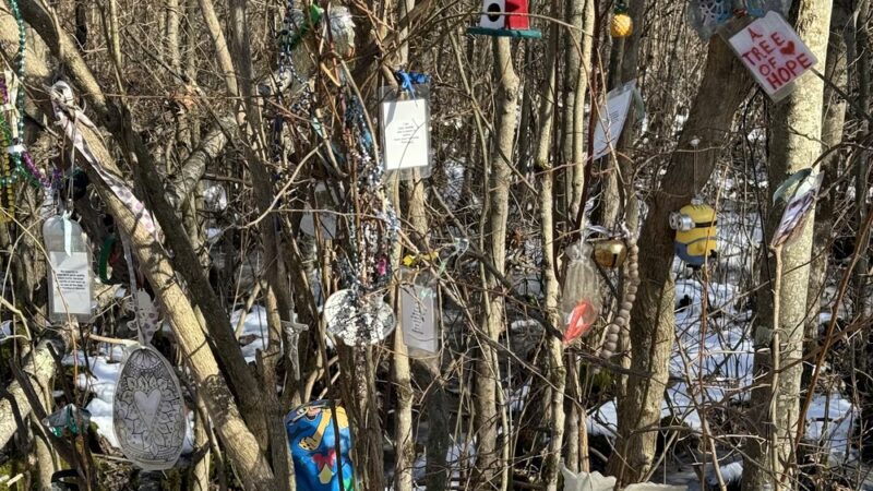 Lackwanna Rail Trail Head - Succasunna, NJ