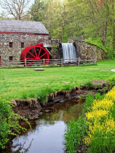 Carding Mill Pond - Sudbury, MA