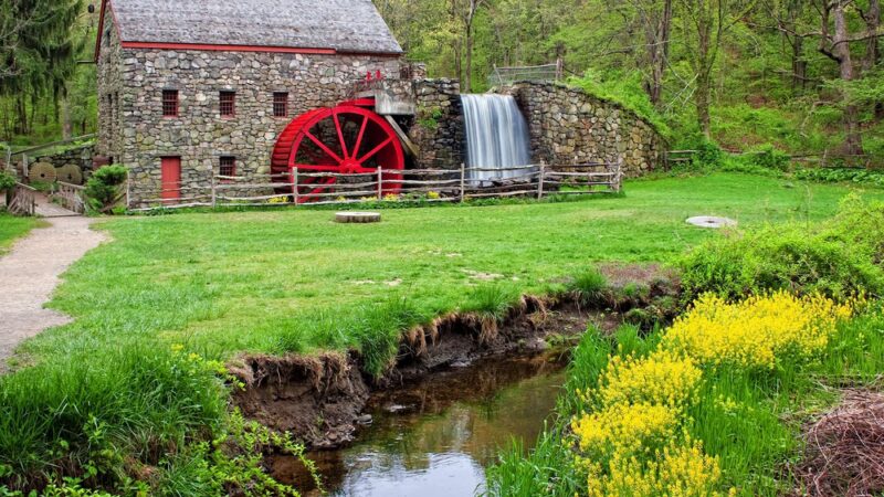 Carding Mill Pond - Sudbury, MA