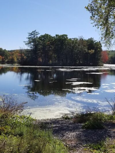 Carding Mill Pond - Sudbury, MA