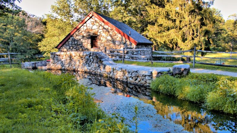 Carding Mill Pond - Sudbury, MA