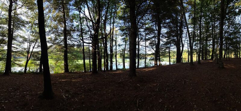 Carding Mill Pond - Sudbury, MA