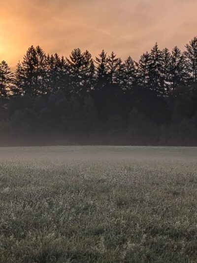 Davis Field & Davis Farm Conservation Areay - Sudbury, MA