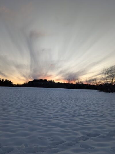 Davis Field & Davis Farm Conservation Areay - Sudbury, MA