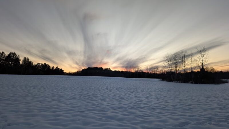 Davis Field & Davis Farm Conservation Areay - Sudbury, MA