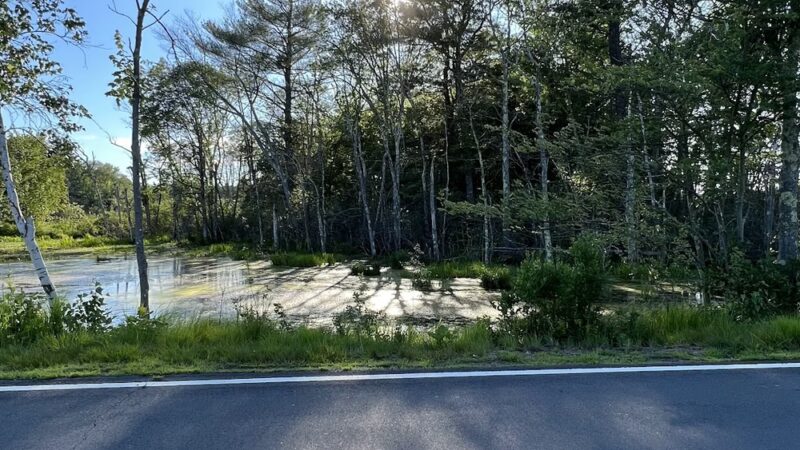 Feeley Field - Sudbury, MA