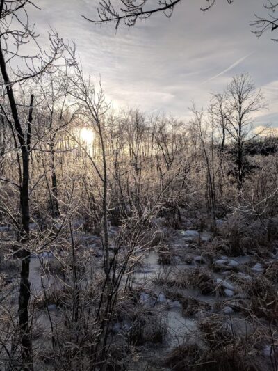 Feeley Field - Sudbury, MA