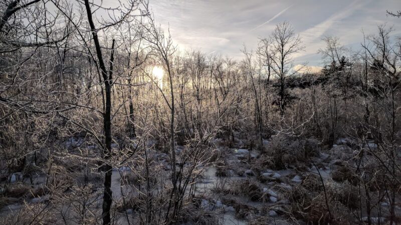 Feeley Field - Sudbury, MA