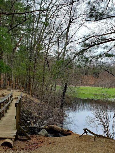 Haynes Meadow - Sudbury, MA
