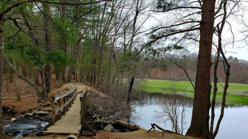 Haynes Meadow - Sudbury, MA