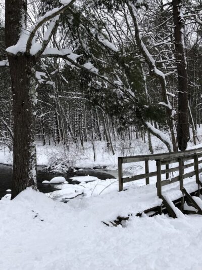 Haynes Meadow - Sudbury, MA