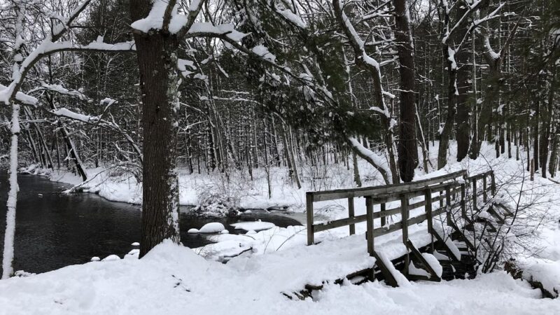 Haynes Meadow - Sudbury, MA