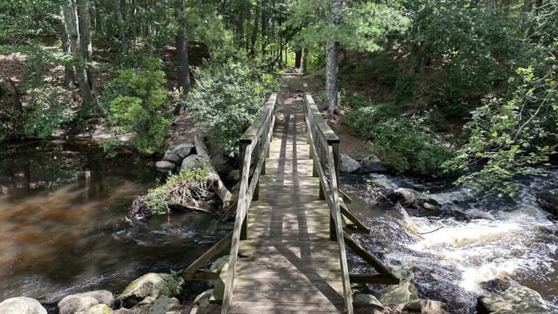 Haynes Meadow - Sudbury, MA