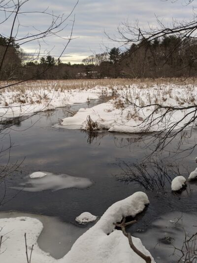 Haynes Meadow - Sudbury, MA