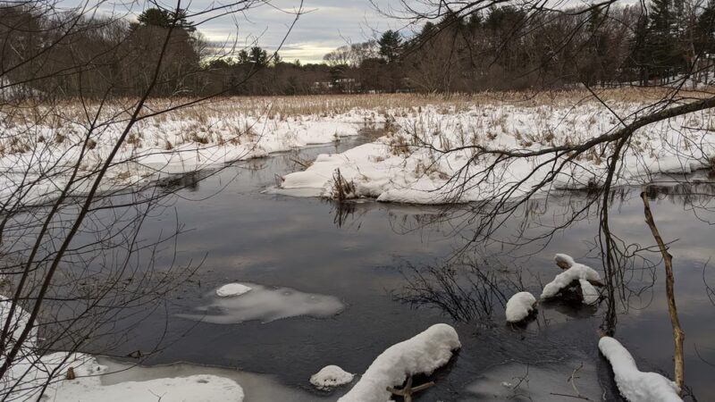 Haynes Meadow - Sudbury, MA