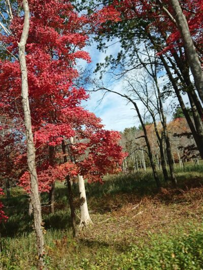 Heritage Park - Sudbury, MA