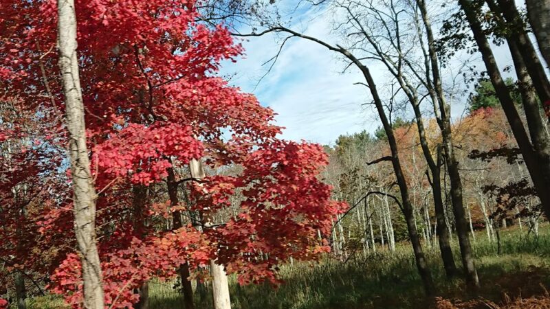 Heritage Park - Sudbury, MA