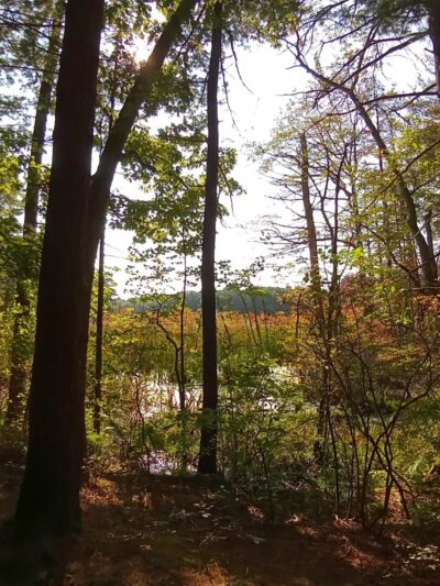 Hopbrook Marsh Conservation Land parking - Sudbury, MA