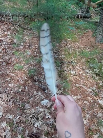 Hopbrook Marsh Conservation Land parking - Sudbury, MA