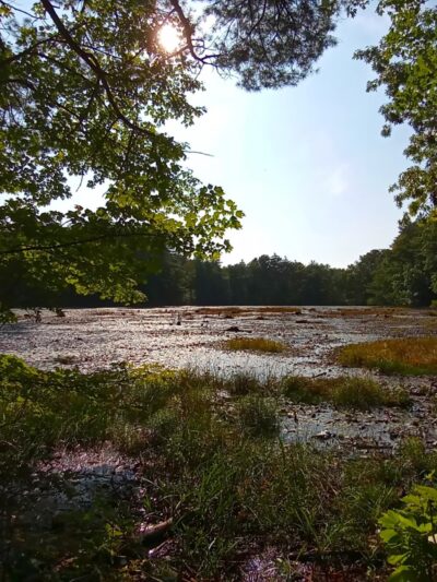 Hopbrook Marsh Conservation Land parking - Sudbury, MA