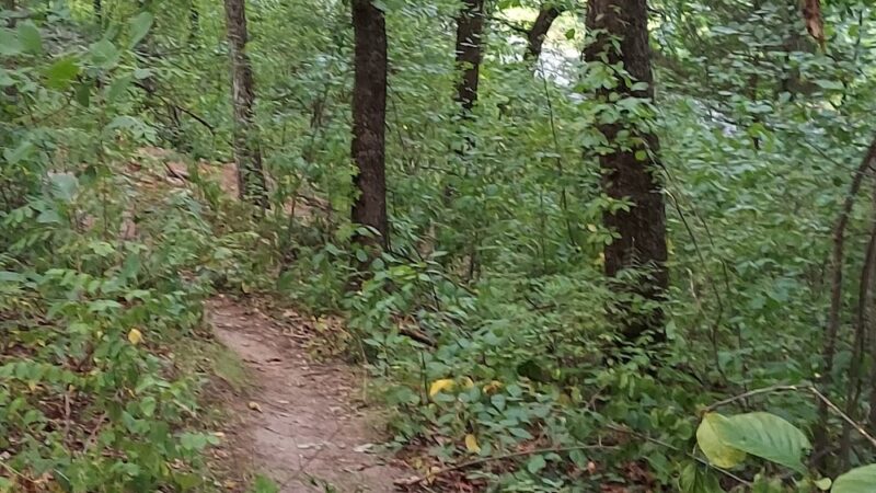 Tippling Rock Trail Head - Sudbury, MA