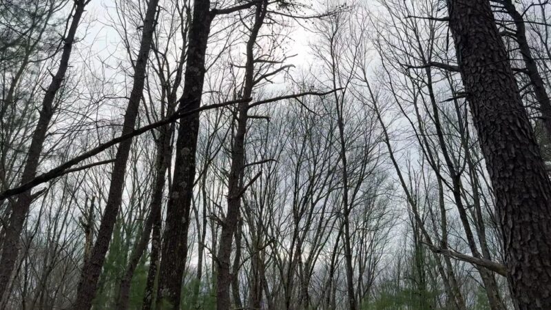 Tippling Rock Trail Head - Sudbury, MA