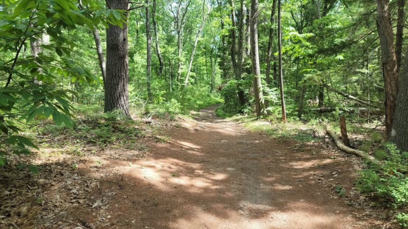 Tippling Rock Trailhead Parking - Sudbury, MA