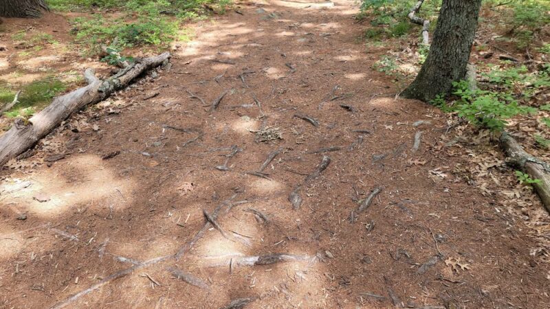 Tippling Rock Trailhead Parking - Sudbury, MA