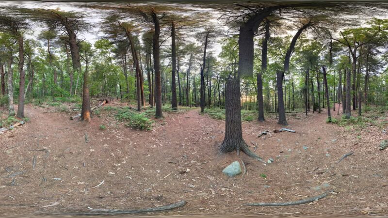 Tippling Rock Trailhead Parking - Sudbury, MA