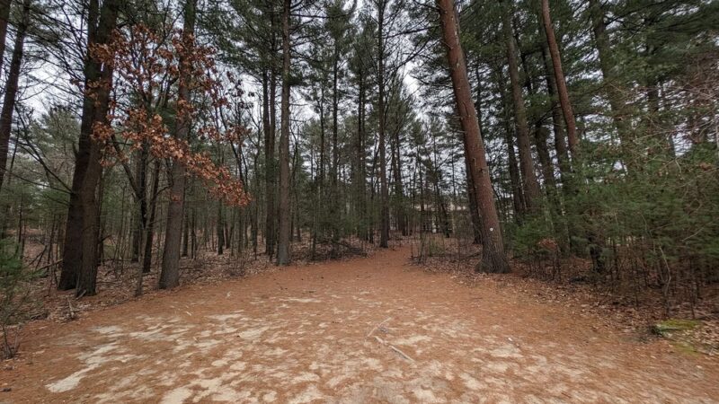 Tippling Rock Trailhead Parking - Sudbury, MA