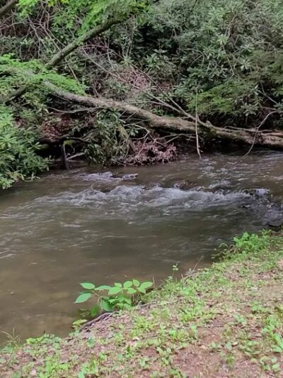 Hurricane Campground - Sugar Grove, VA