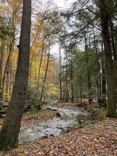 Hurricane Campground - Sugar Grove, VA