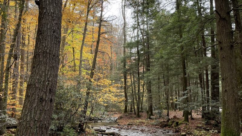 Hurricane Campground - Sugar Grove, VA