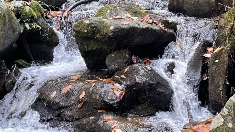 Hurricane Campground - Sugar Grove, VA