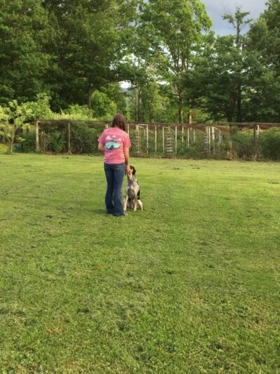 Appalachian Canine Coaching - Sugar Grove, VA