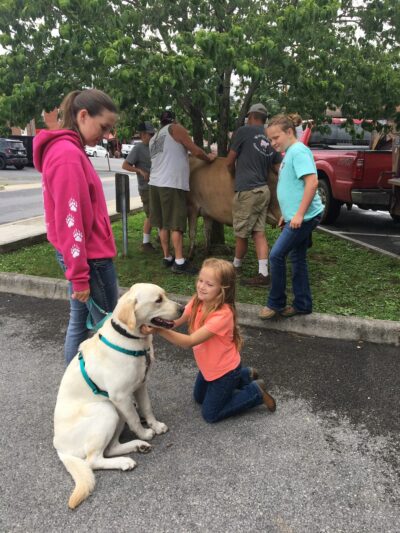 Appalachian Canine Coaching - Sugar Grove, VA