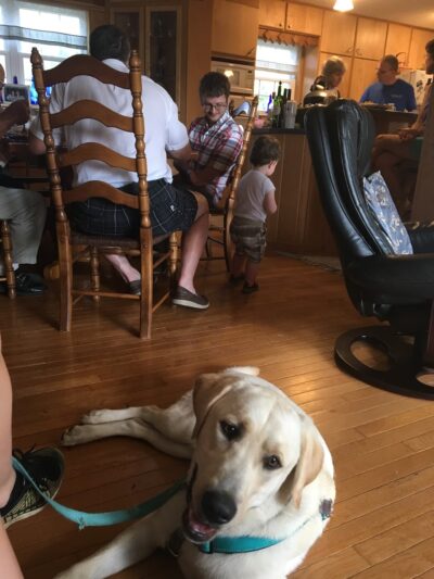 Appalachian Canine Coaching - Sugar Grove, VA