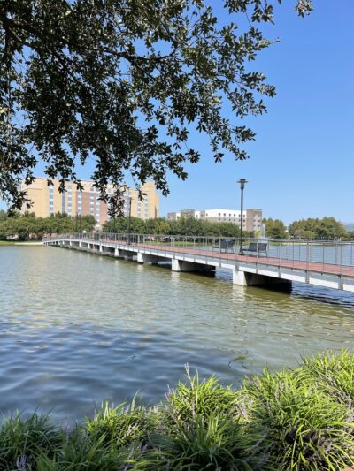 Brooks Lake Trails - Sugar Land, TX