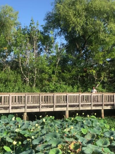 Cullinan Park - Sugar Land, TX