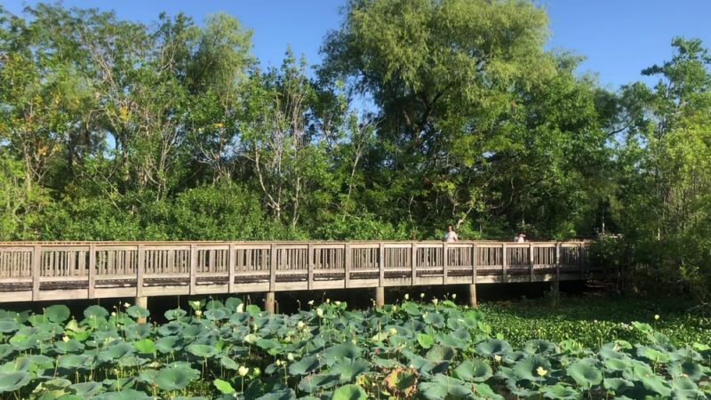 Cullinan Park - Sugar Land, TX